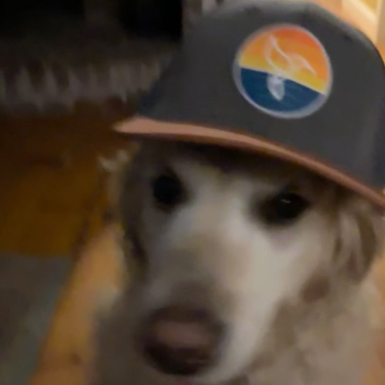 Shiloh